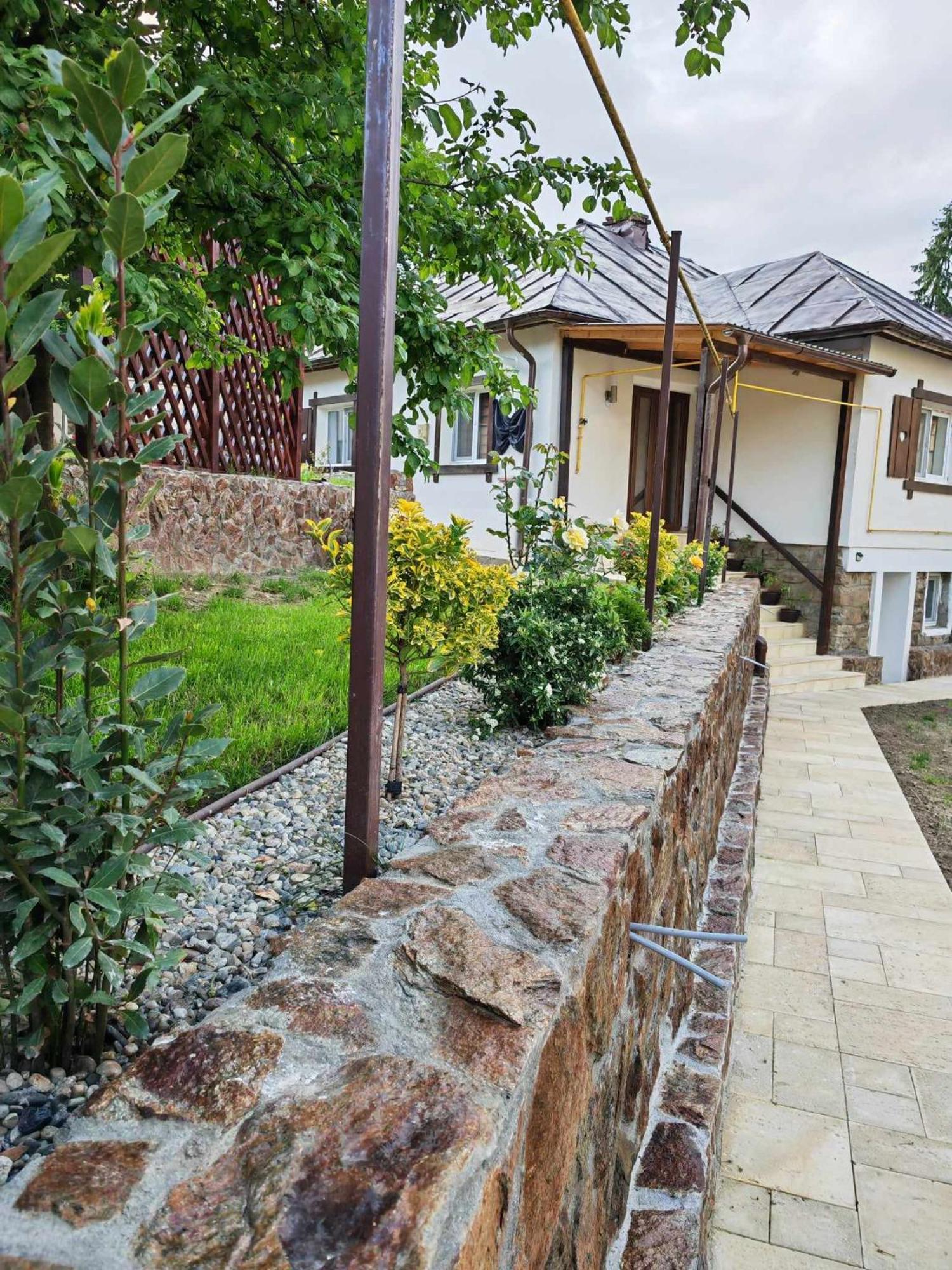 Băile Olăneşti Casa Tihnaヴィラ エクステリア 写真