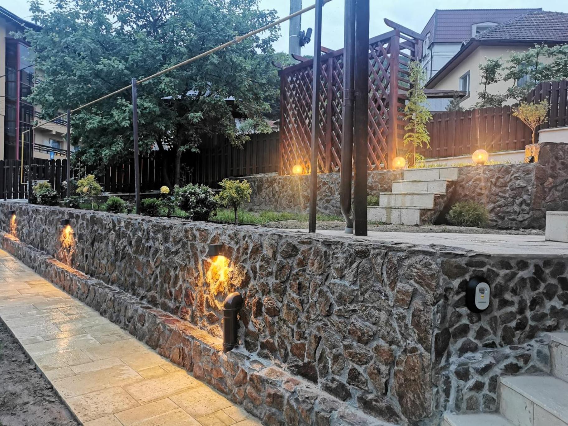 Băile Olăneşti Casa Tihnaヴィラ エクステリア 写真